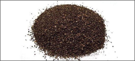 BLACK PEPPER PINHEADS
