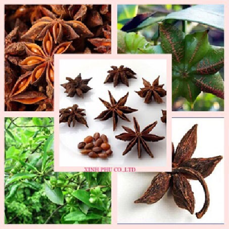 STAR-ANISE