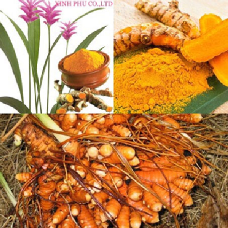 tumeric export