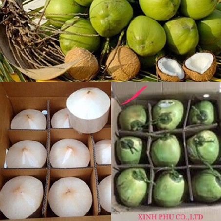 fresh_coconut